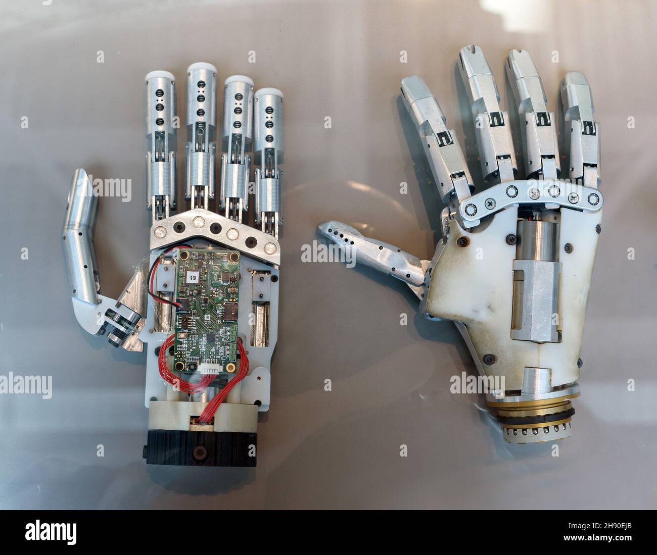 Top view of modern bionic mind controlled robotic prosthetic human hands for amputees placed on gray surface Stock Photo