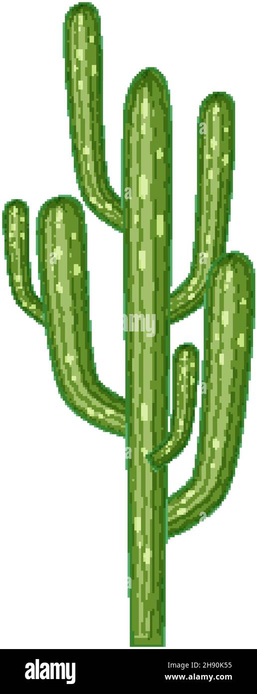 Saguaro cactus isolated on white background illustration Stock Vector