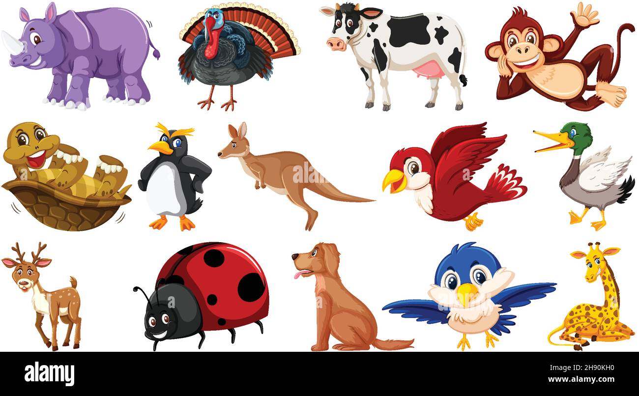 Set of isolated various animals illustration Stock Vector Image & Art - Alamy Set of isolated various animals illustration Stock Vector Image & Art - Alamy