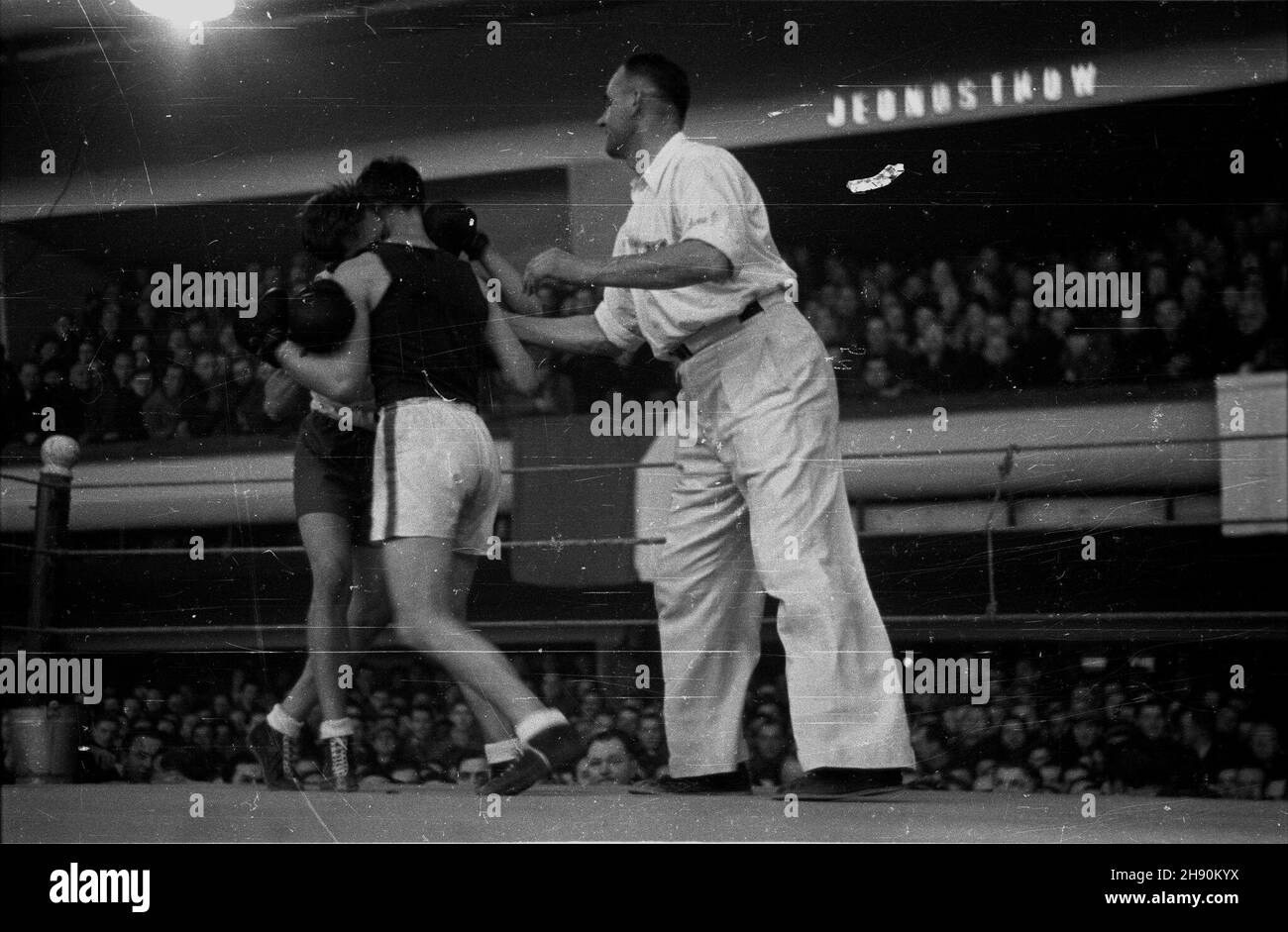 Warszawa, 1947-02-02. Mecz bokserski Polska - Czechos³owacja (12:4) w hali toru wyœcigowego na S³u¿ewcu. Nz. pojedynek w wadze koguciej. Wacz¹ Maksymilian Grzywocz (L) i Jan Strba.  ka  PAP      Warsaw, Feb. 2, 1947. A Poland-Czechoslovakia boxing match (12:4) held at the Sluzewiec race course. Pictured: a bantamweight fight between Maksymilian Grzywocz (left) and  Jan Strba.   ka  PAP Stock Photo