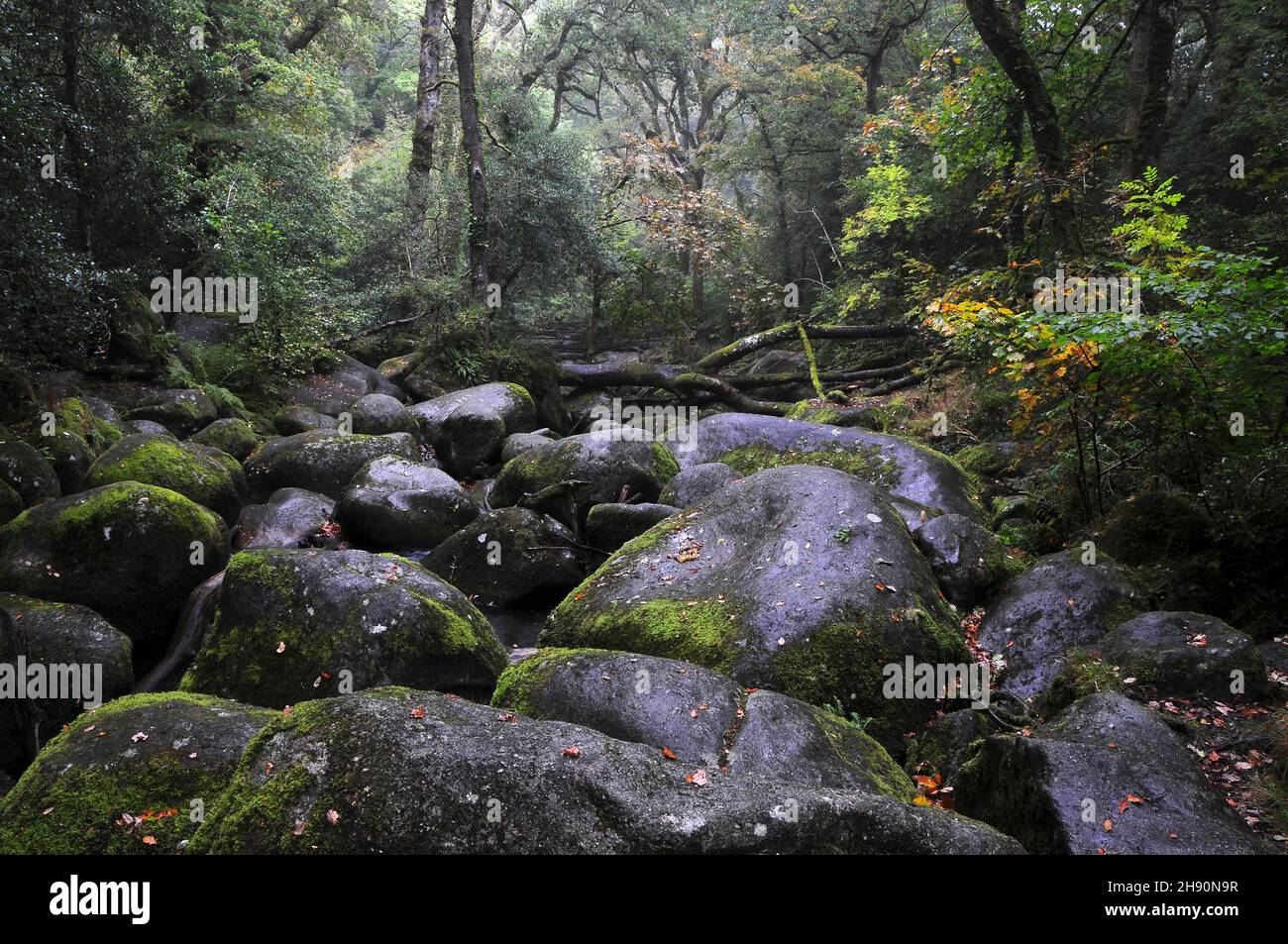 Rounded rocks at Bekka Falls, Dartmoor, UK Stock Photo - Alamy