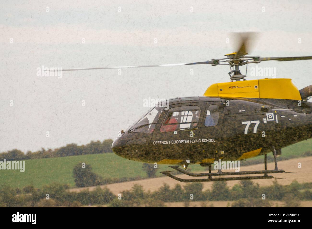 Eurocopter AS-350BB Squirrel HT1 of DHFS - Defence Helicopter Flying School - landing on cut grass throwing up a cloud of cuttings dust Stock Photo