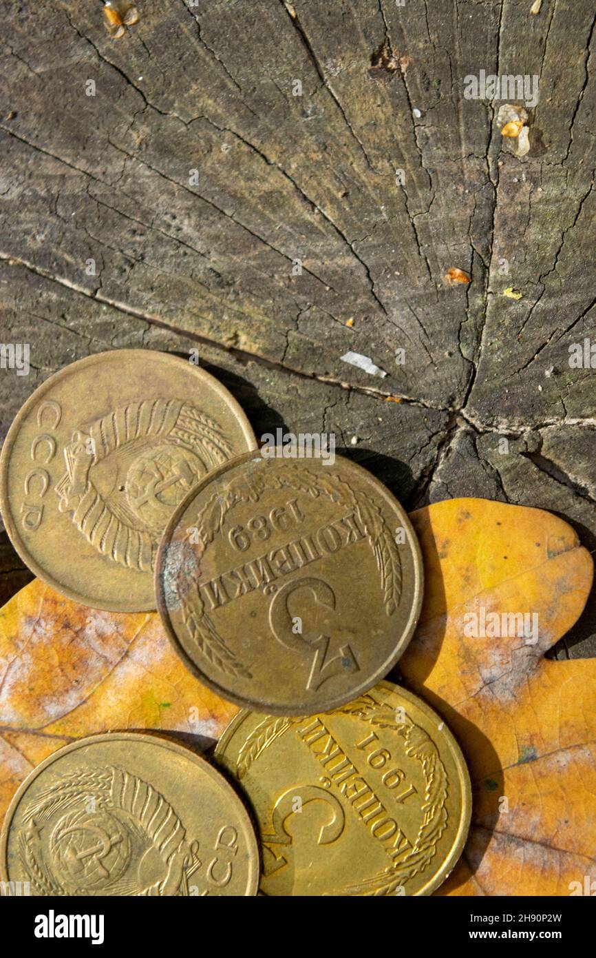 Old coins in the forest on the stump of an old tree Stock Photo
