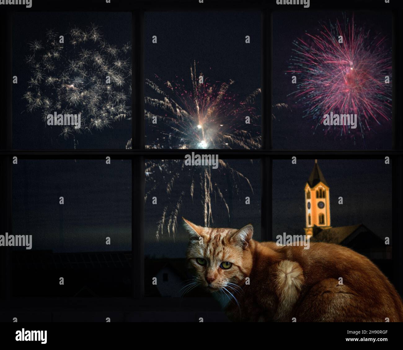 Cat looks out the window and watching the fireworks Stock Photo Alamy