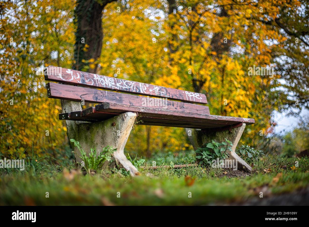 Beautiful shot of a wooden park bench on an autumn day Stock Photo - Alamy