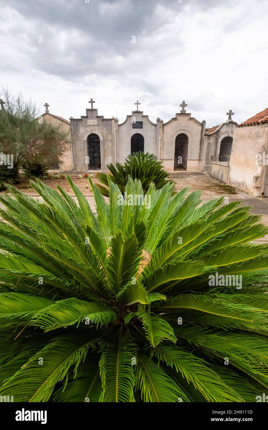 La pina hi-res stock photography and images - Page 3 - Alamy