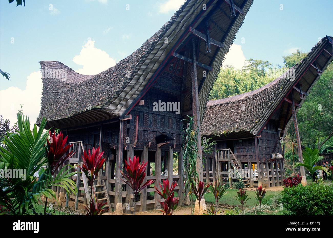 Tana Toraja, traditional houses (tongkonan). Sulawesi, Indonesia. Stock Photo