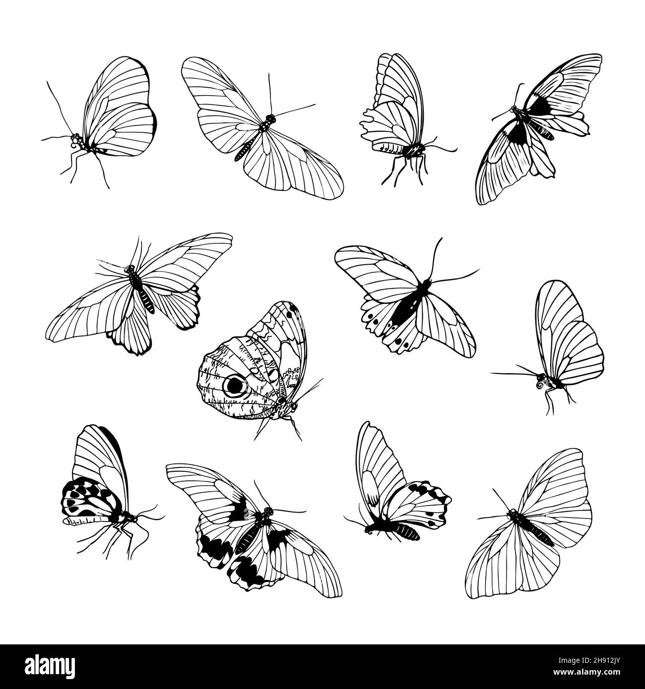 Set of hand drawn black outline butterflies on white background. Front and side  view. Butterfly miimalistic sketch for tattoo, card, logo Vector  illustration Stock Vector Image & Art - Alamy