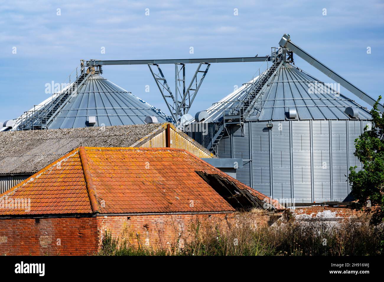 Grain silos Bawdsey Suffolk UK Stock Photo