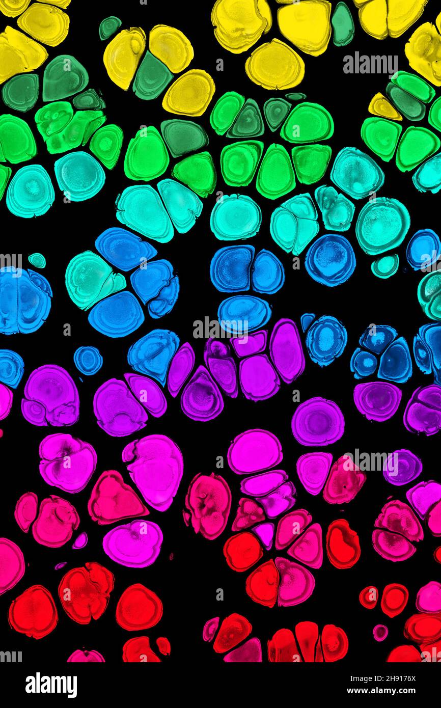 Colorful abstract acrylic painting cells. Free flowing cells. Pouring. Stock Photo