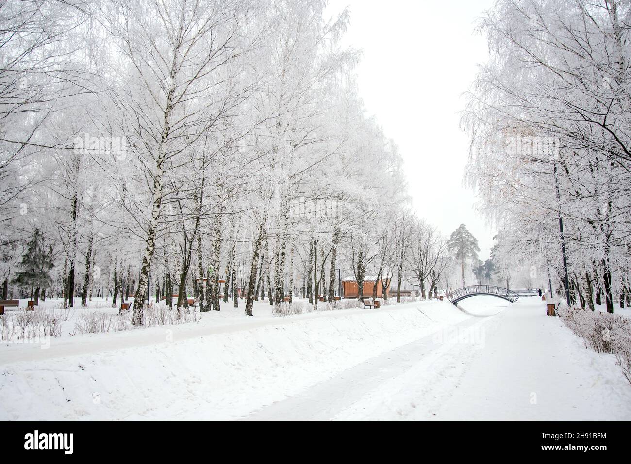Beautiful winter landscape from a snow park with a bridge Stock Photo ...