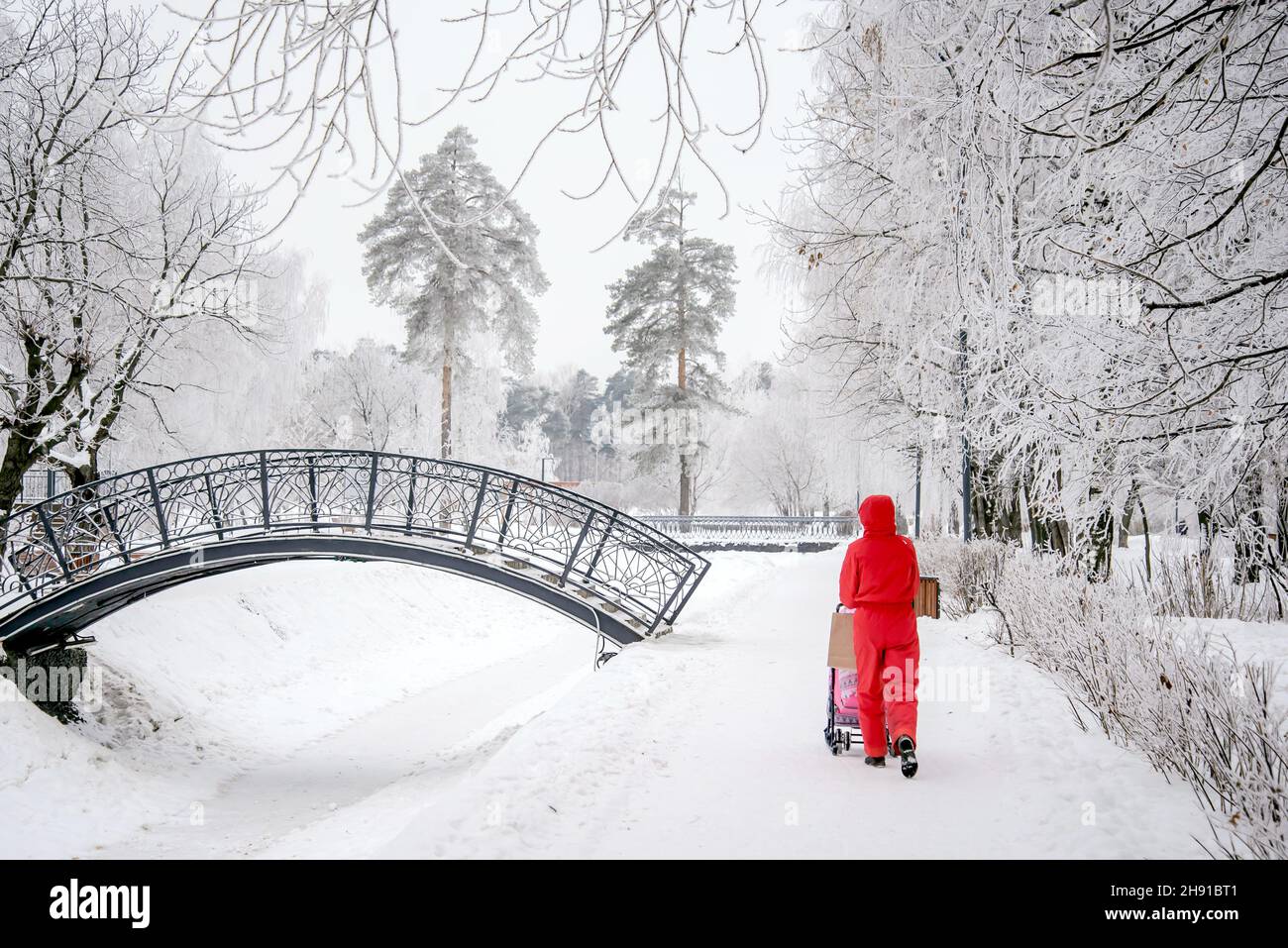 Beautiful winter landscape from a snow park with a bridge Stock Photo ...