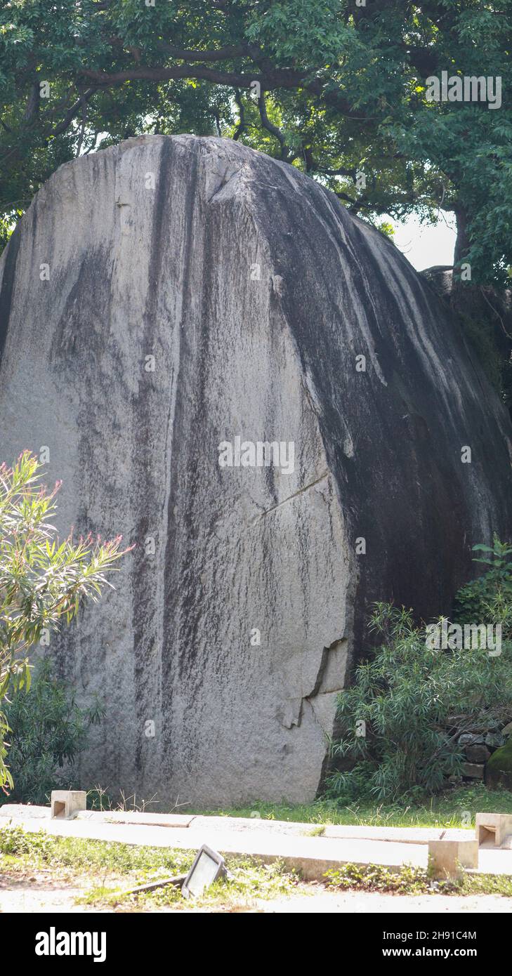The large rock on the ground is located in the natural background Stock ...