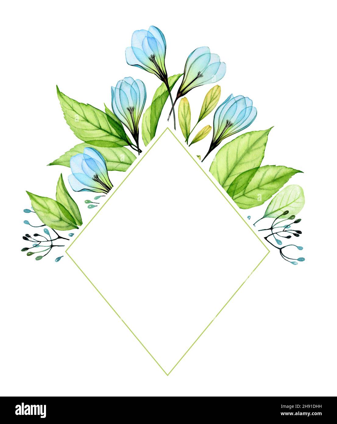 Watercolor rhomb frame with blue flowers. Card template with snowdrops and fresh green leaves. Place for text. Botanical floral illustration for Stock Photo