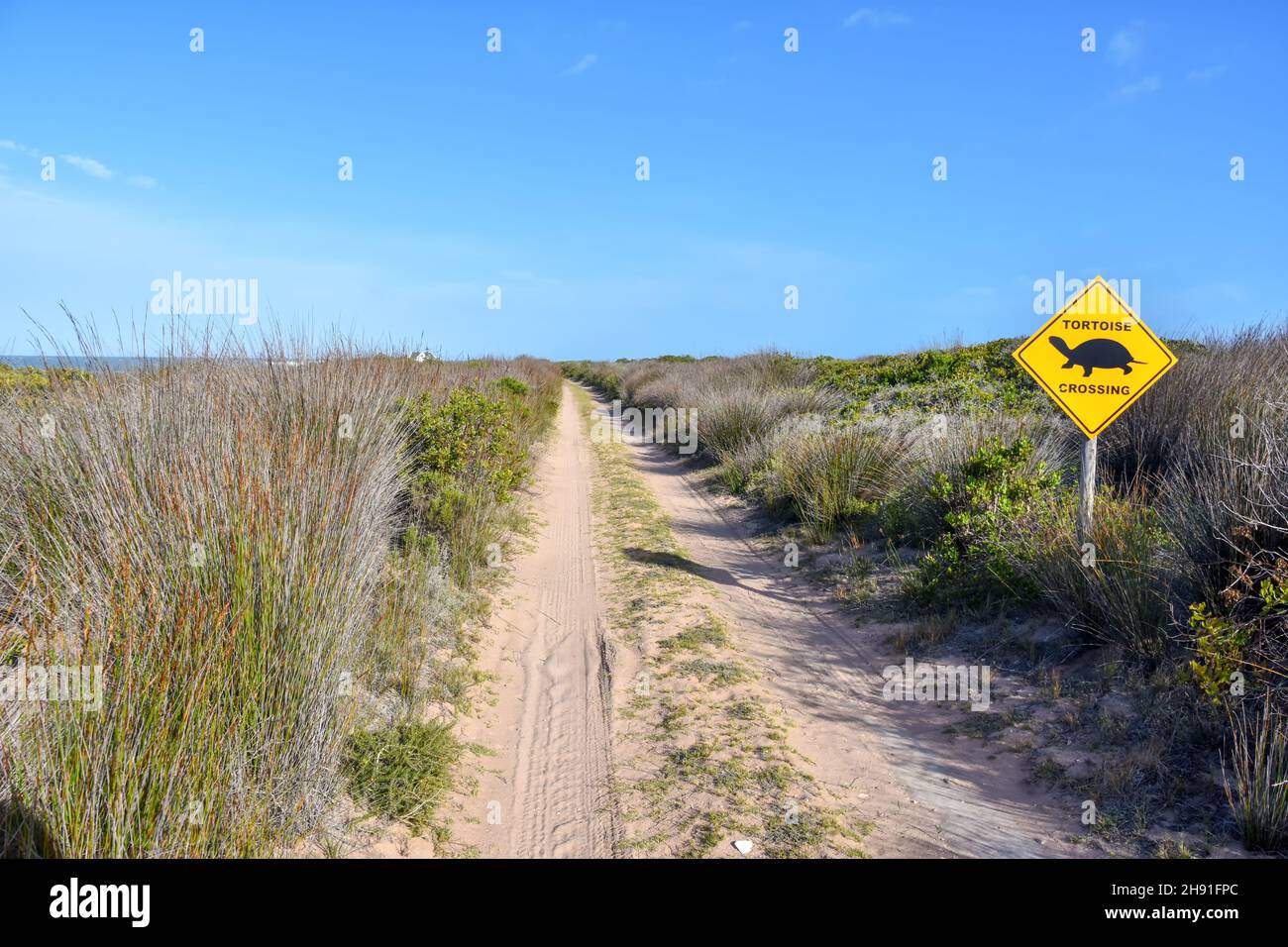A tortoise crossing sign near the Indian Ocean seen from the Oyster Catcher Trail near Mosselbay on the Garden Route in South Africa popular with tour Stock Photo