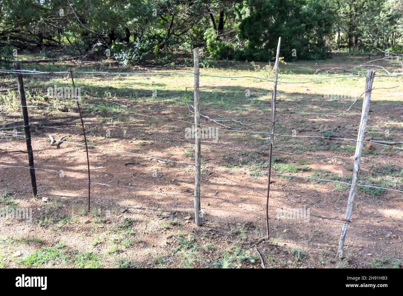 An improvised fence made of wood and barbed wire on a farm in Eastern