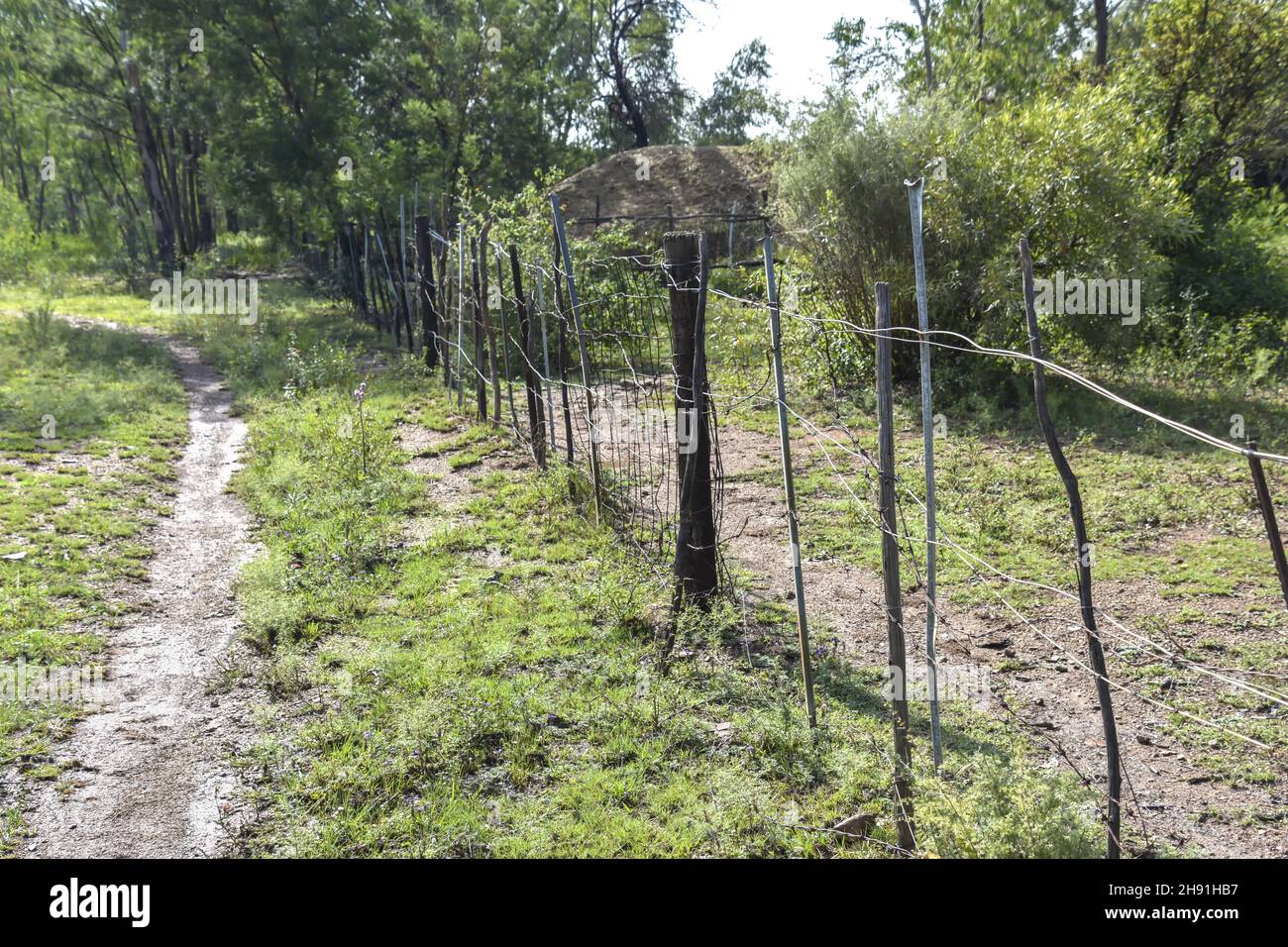 An improvised fence made of wood and barbed wire on a farm in Eastern Pretoria South Africa to keep cattle out of a garden with red soil and grass in Stock Photo