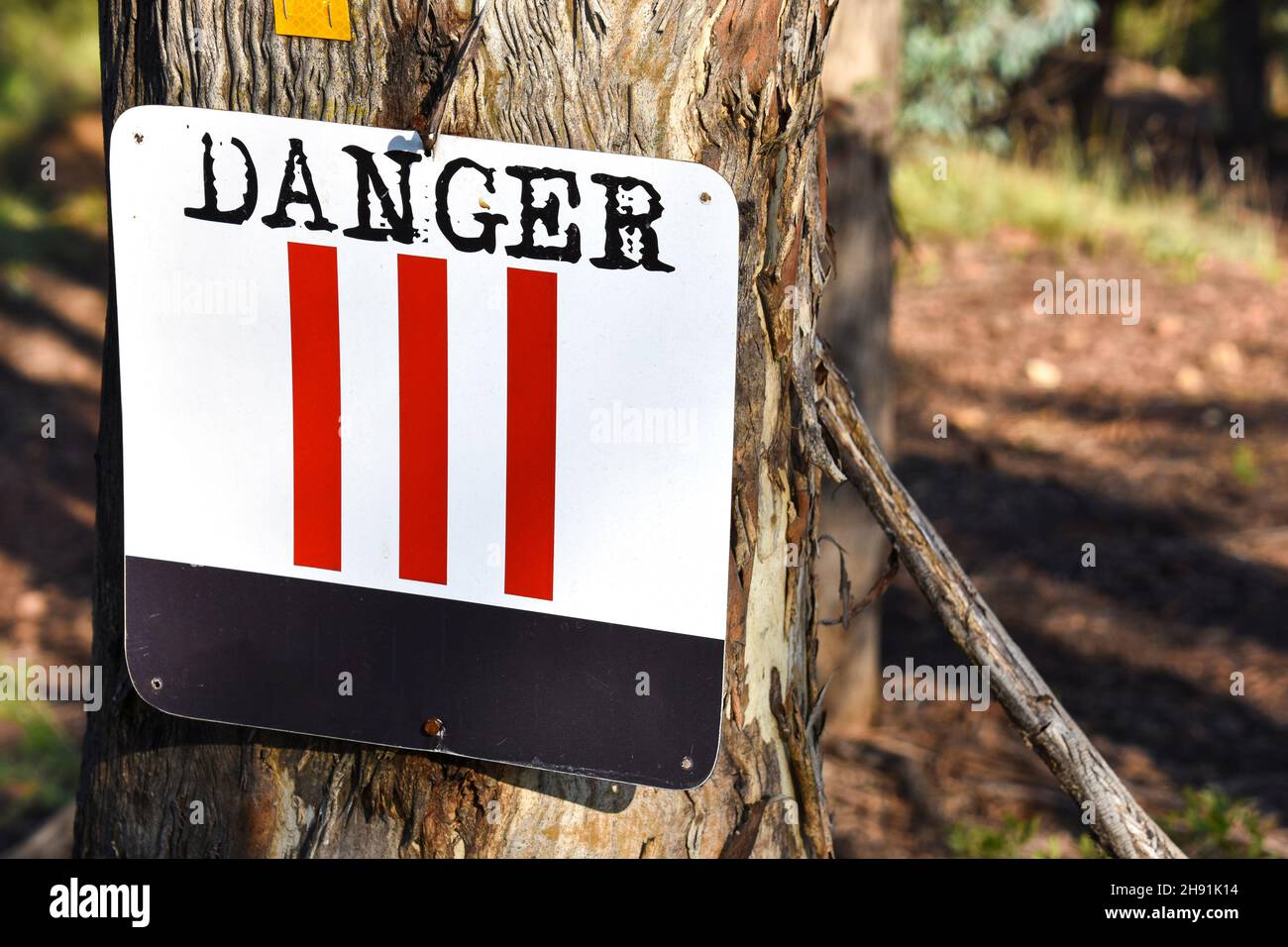 A danger sign with a unique design with black and red bright colors on a tree alerting mountain bikers and hikers of obstacles on the trail that may b Stock Photo