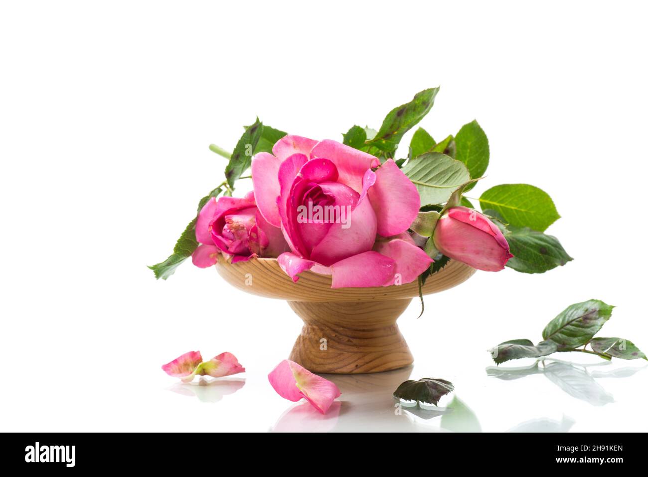 pink beautiful summer roses isolated on white Stock Photo - Alamy