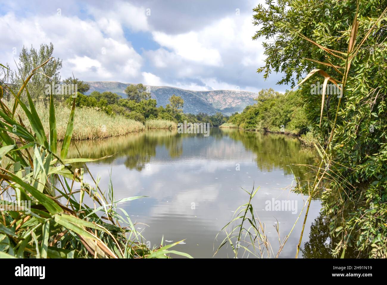 The Wilge River in Trichardspoort River Valley, Gouwsberg Mountain Range in the vicinity of Bronkhorstspruit east of Pretoria South Africa Stock Photo