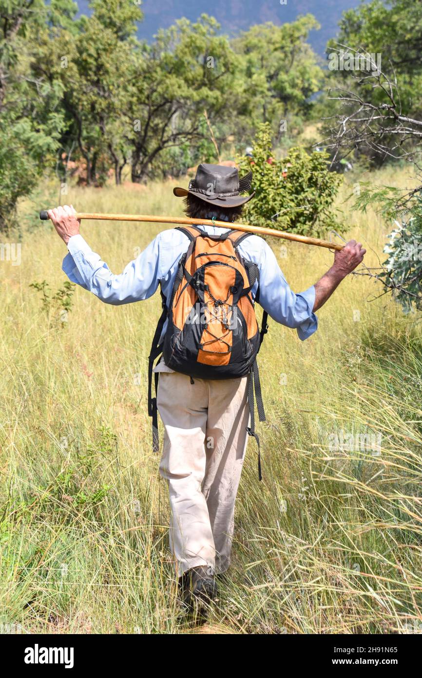 Hiker with hiking stick in the bush of Trichardspoort River Valley, Gouwsberg Mountain Range in the vicinity of Bronkhorstspruit east of Pretoria Sout Stock Photo