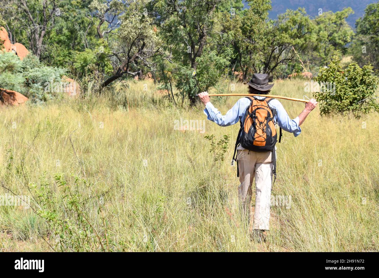 Hiker with hiking stick in the bush of Trichardspoort River Valley, Gouwsberg Mountain Range in the vicinity of Bronkhorstspruit east of Pretoria Sout Stock Photo