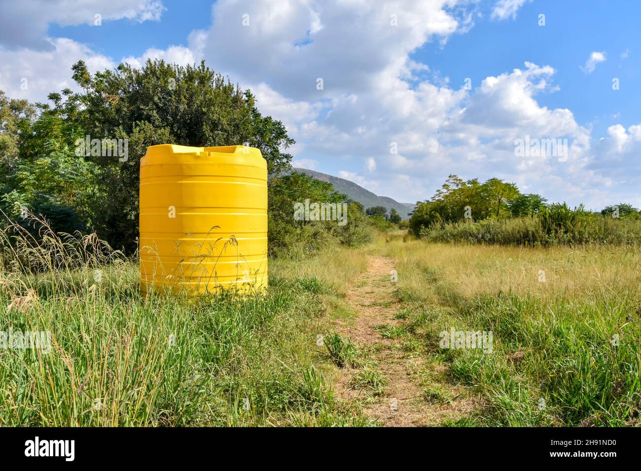 A large industrial sized yellow container containing thousands of