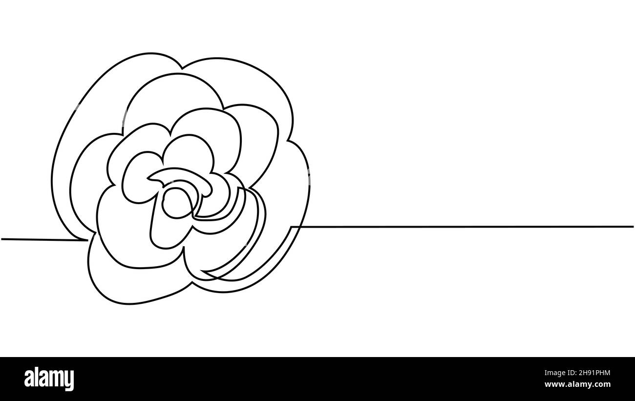 rose flower. Continuous one line drawing of rose flower minimalist ...