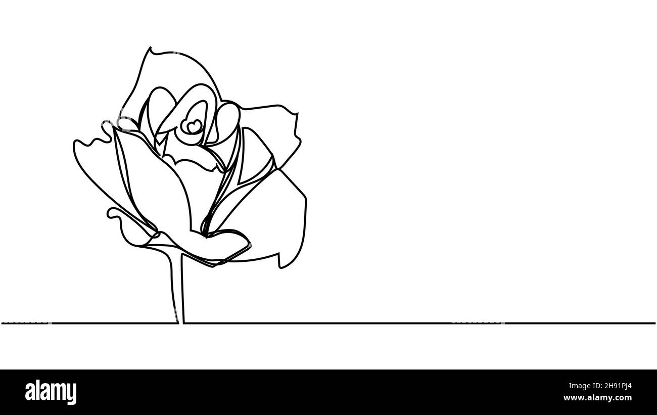 rose flower. Continuous one line drawing of rose flower minimalist ...