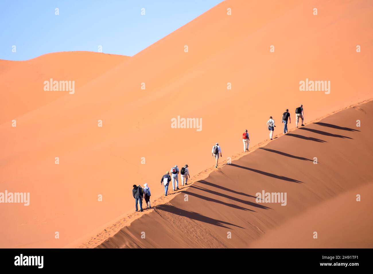 Tourists hiking uphill on the famous sand dunes in the Namib-Naukluft park area in Namibia Southern Africa against a blue sky Stock Photo