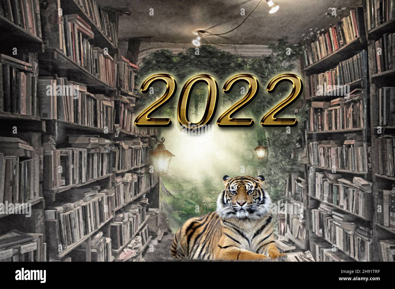 New Year pictures .Tiger, bookshelves, abstraction, fantasy,holidays Stock Photo