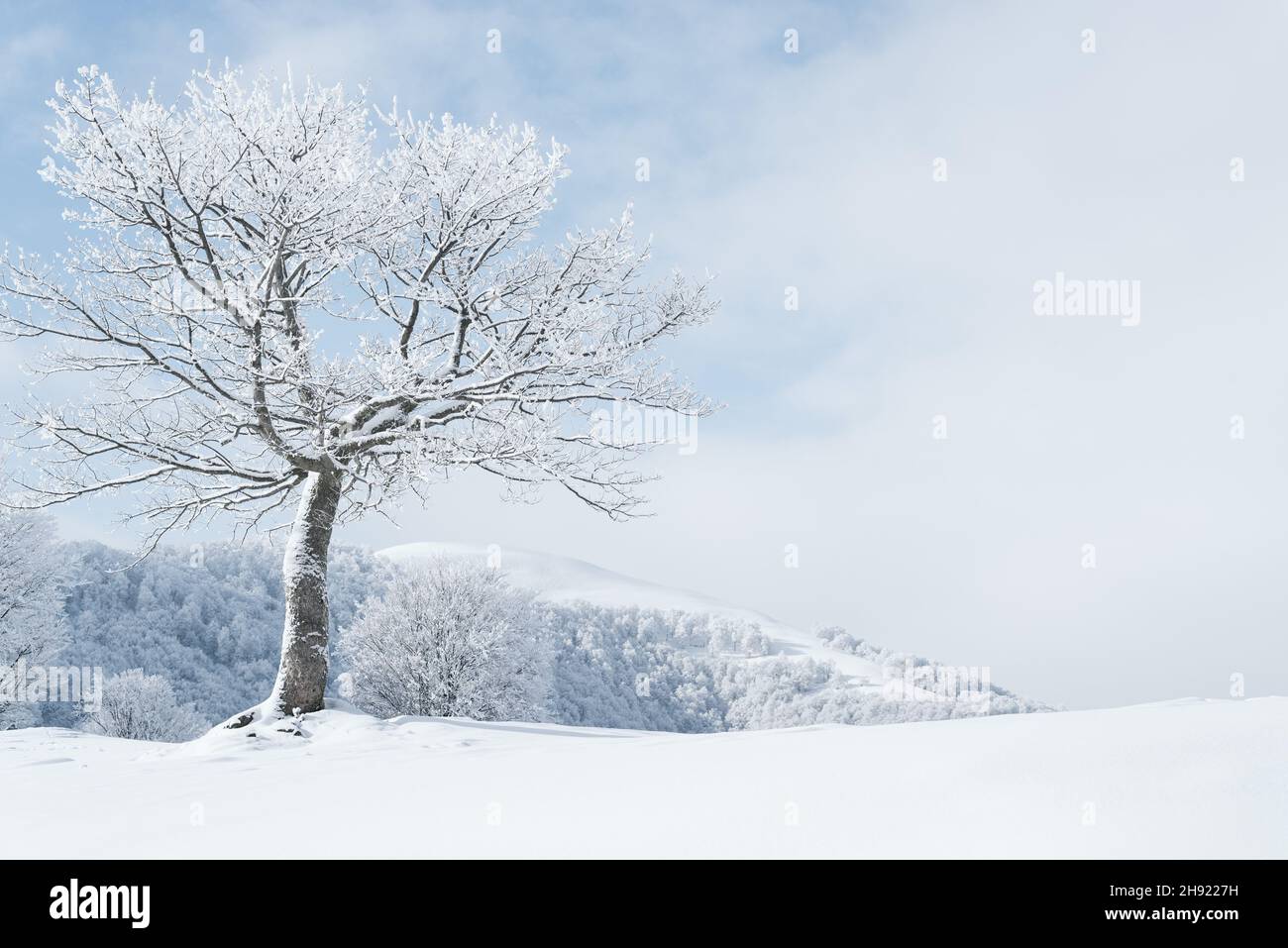Frost covered landscape hi-res stock photography and images - Alamy