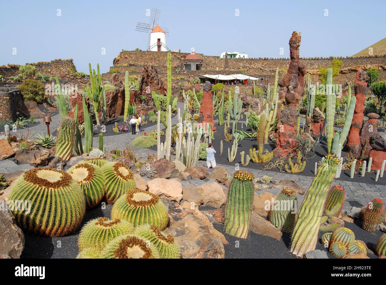 Jardin de Cactus, Guatiza, Province of Las Palmas, Lanzarote, Canary Islands, Spain Stock Photo