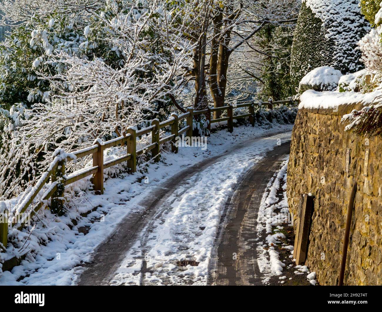Snow covered road with trees at Matlock Bath in the Derbyshire Peak District England UK with tyre tracks visible in the snow. Stock Photo