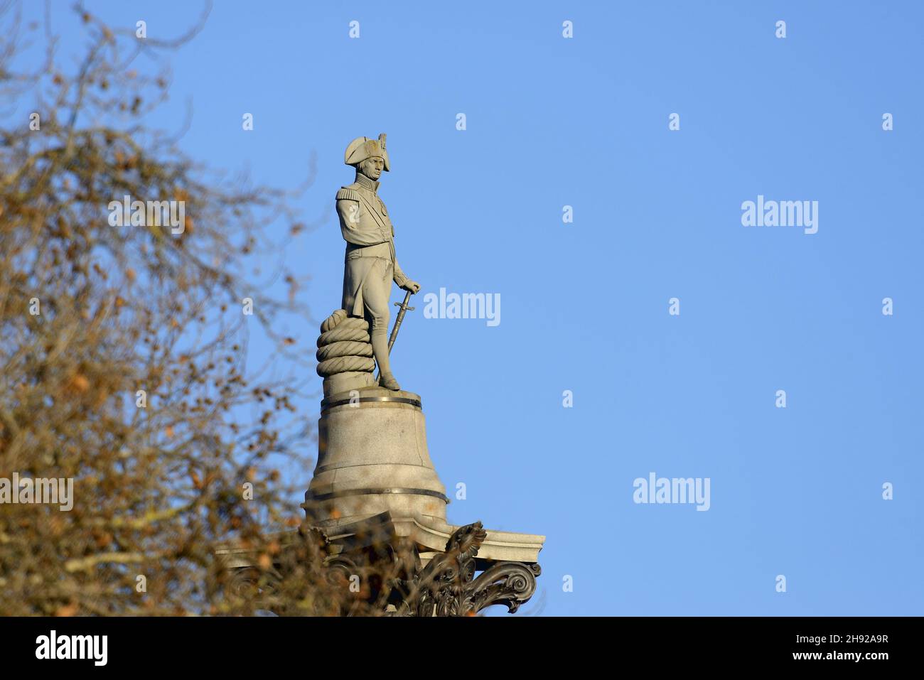 London, England, UK. Nelson's Column in Trafalgar Square seen from the Mall, through autumn leaves, December. Stock Photo
