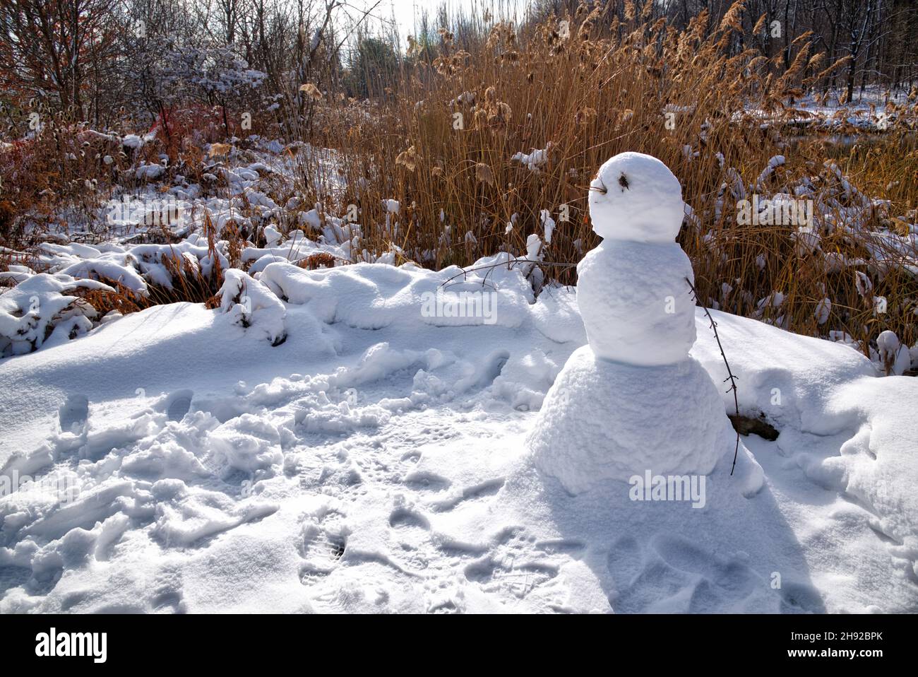 A Big Snowman In The Park Winter Entertainment Stock Photo Alamy