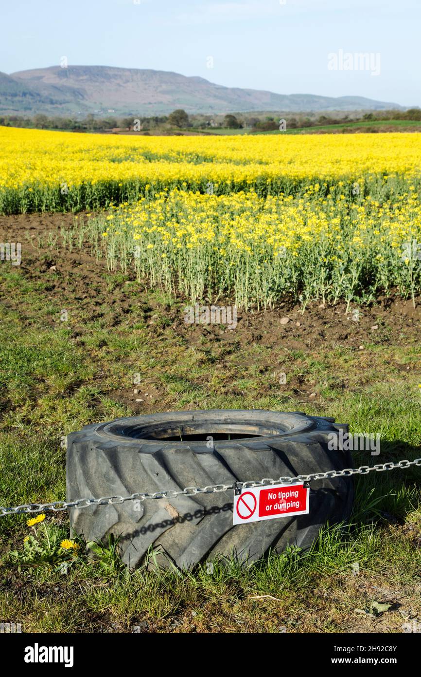 No tipping or dumping sign with a chain and tyre barrier restricting acces to the edge of a field of flowering rapeseed, Brassica napus, looking towar Stock Photo