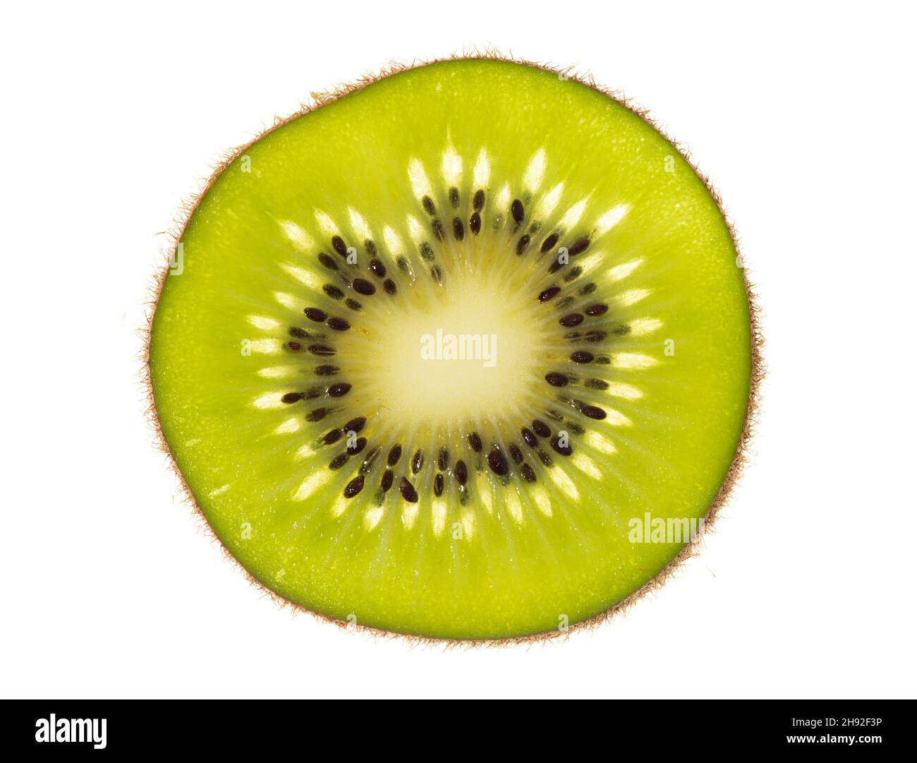 Single slice of a Kiwi fruit with back lighting Stock Photo