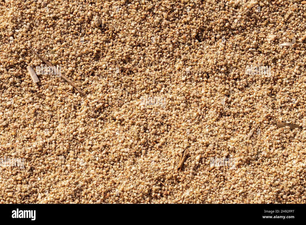 natural sand texture surface on beach with some thrash on it Stock Photo