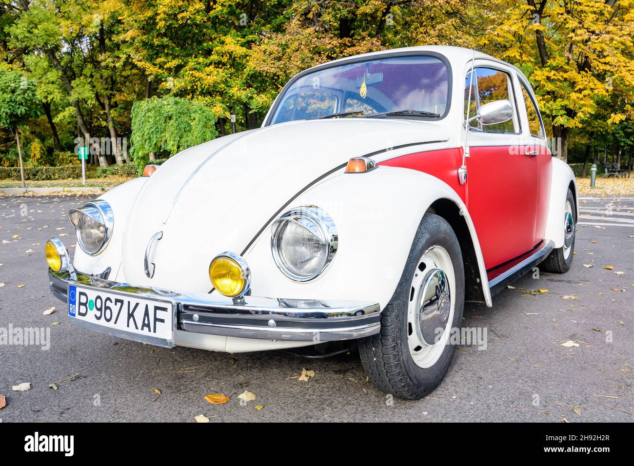 Bucharest, Romania, 24 October 2021: One vivid red and white Volkswagen Beetle German vintage car in traffic in a street at an event for vintage cars Stock Photo