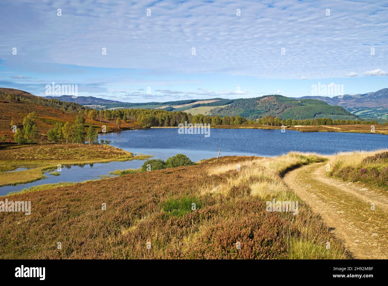 Track leading to small moorland hill loch, trees on hillside, Tayside sporting estate, Highland Perthshire, calm sunny autumn weather, Scotland UK Stock Photo