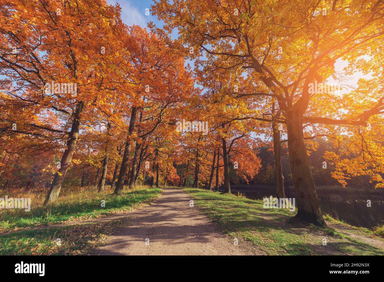 Path in the city park at autumn morning time Stock Photo - Alamy