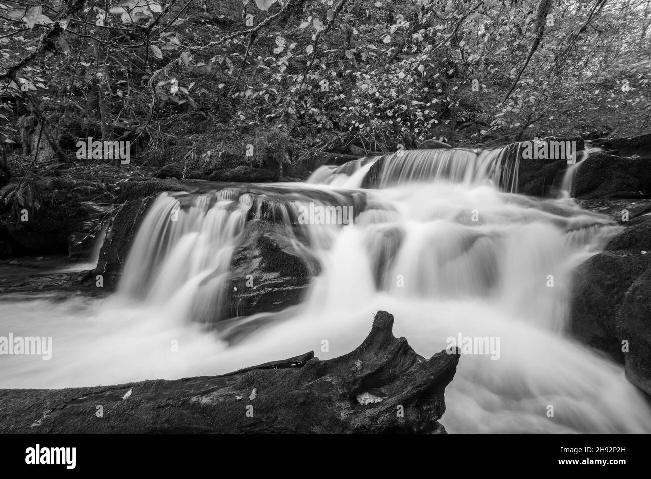 Black and white photo of a waterfall on the Hoar Oak Water river at