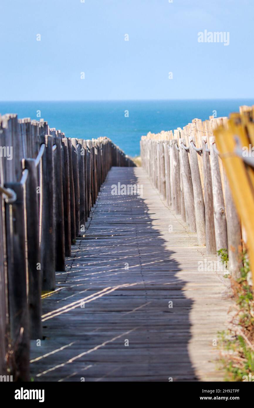 boardwalk through the sand dunes Stock Photo