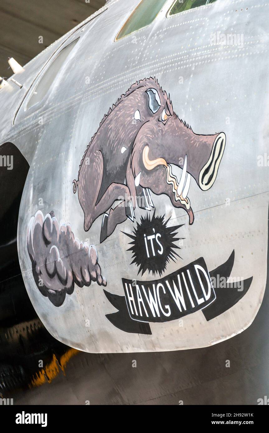 Nose art of USAF Boeing B-29A Superfortress 44-61748, It's Hawg Wild, in the American Air Museum at Imperial War Museum, Duxford Stock Photo