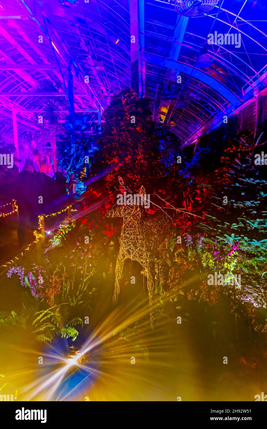 Colourful Display inside the Glasshouse at Glow 2021, the annual Christmas illuminations event