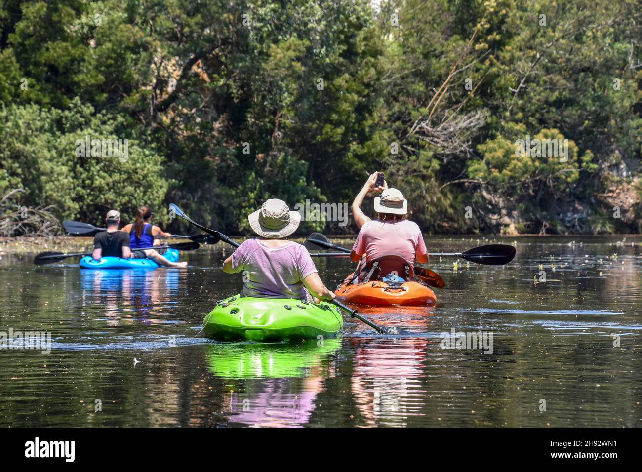 Tourists kayaking or canoeing in the Knysna river in the Garden Route South Africa on a beautiful sunny day Stock Photo