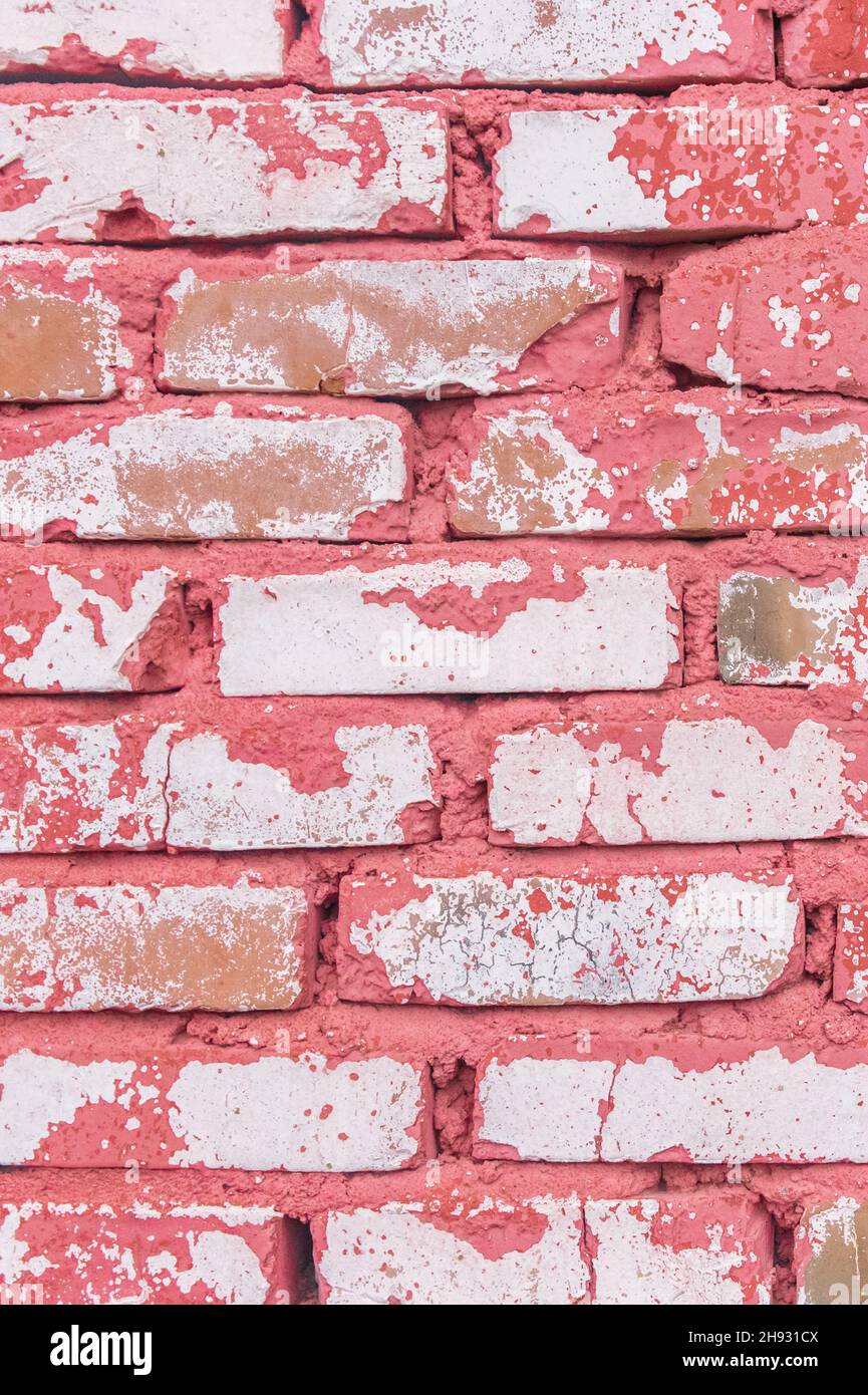 White dirty brick vertical wall with old peeling pink or red paint weathered background texture stone surface. Stock Photo