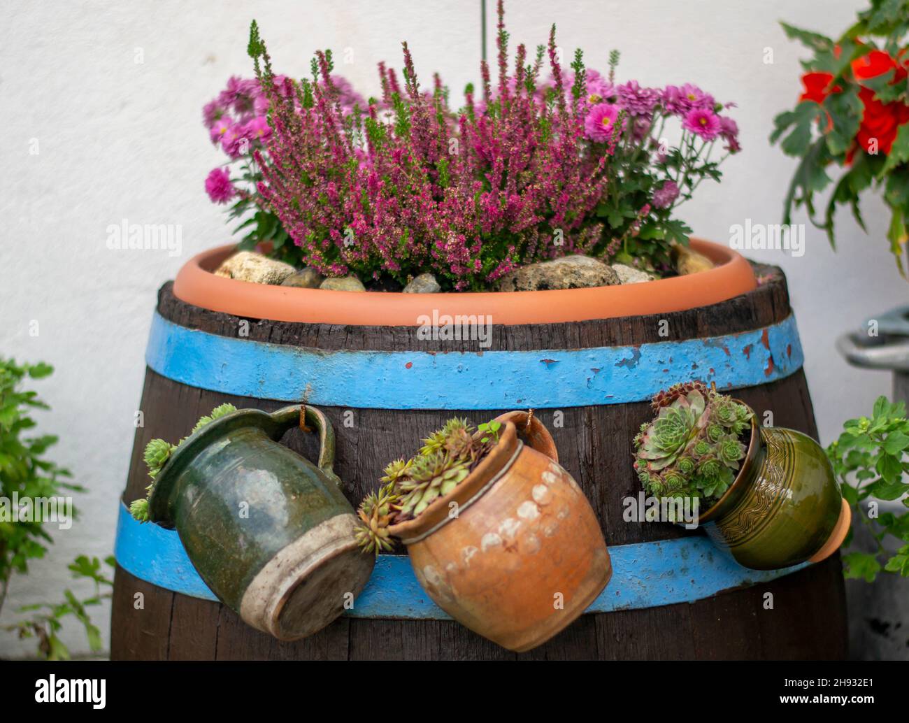 NEW 40L Flower Barrel Plant Pot Flowerpot Rain tonne weinfaß eichenfaß Wooden Barrel 