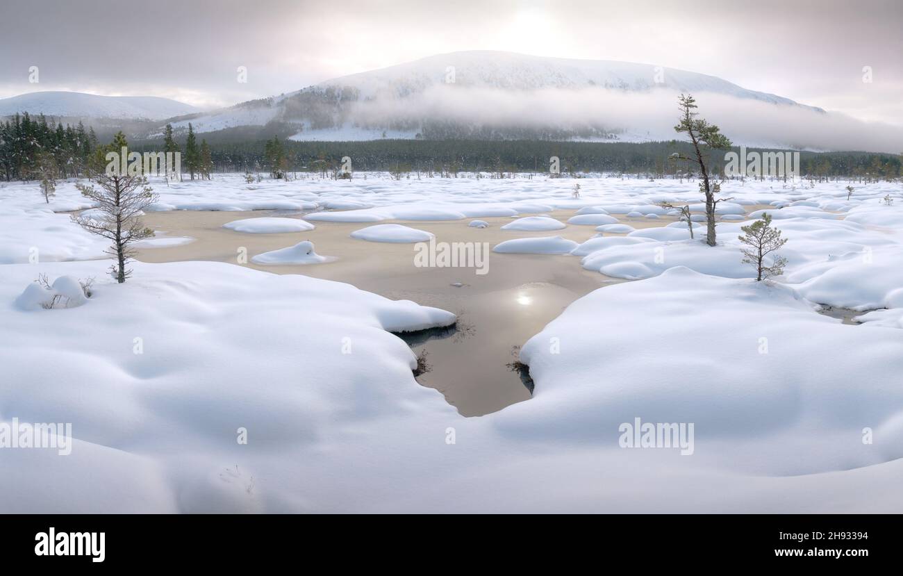 Snow covered bog with Cairngorm mountains in the background, Scotland, UK. Stock Photo